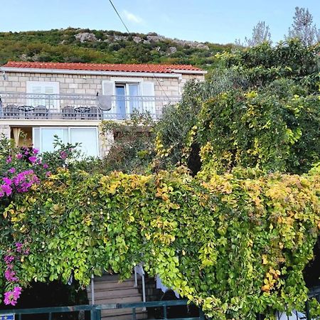 Tranquility And Nature In 4 Bedroom With Sea View Mokošica Exterior foto